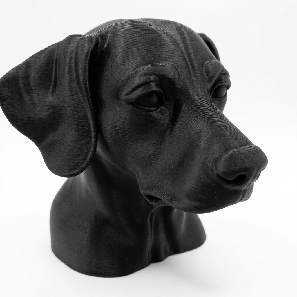 Dalmatian Dog Bust - Home Decor - Perfect Gift for Animal Lovers
