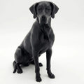 Great Dane Dog Sculpture - Home Decor- Perfect for Animal Lovers