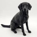 Heidewachtel Dog Sculpture - Home Decor - Perfect for Animal Lovers